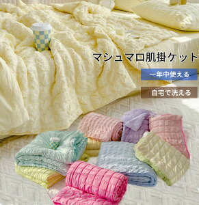 y撅100I10OFFN[|z􂦂 |zc }V}Pbg VO n[t _u ĕzc ^IPbg tp ėp }V}̂悤ȔG |zc [Pbg 