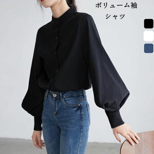   Vc X^hJ[   fB[X uEX VcuEX ۂ hbvV_[ I[o[TCY Ȃꊴ {[ lJWA gbvX HD ̌^