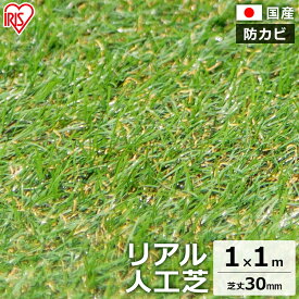 楽天市場 庭 サッカー 人工芝の通販