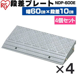 y4Zbgziv[g 10cmi v NDP-600E 60cm iv[g iX[v X[v ԏ i  Ԍ  ֑O  ܂Âh~ ]|h~ VjAJ[ oAt[ K[