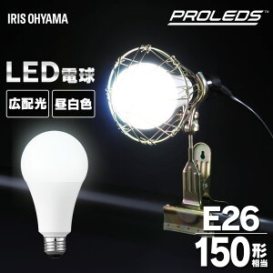 NbvCg led Ɠ 2400lm Ɩ Ɩp ItBX H  Ɨp [NCg 100V p ƗpCg  F Lz Ɩ ƌ q ԍ ƏƖ h 