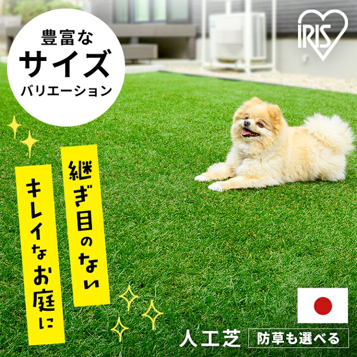 楽天市場】人工芝 30mm ロール アイリスオーヤマ 1m×1m〜4m×7m 芝丈3cm 