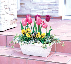 t[v^[@470AEv^[EK[fjOpiE|piyACXI[}z P19Jul15 [cpir]