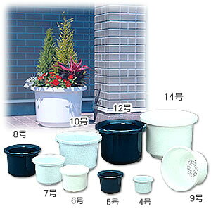 eBg ԗp 12 ACXI[} eBg@12yRCPzy0530pe_flz[2512SE]