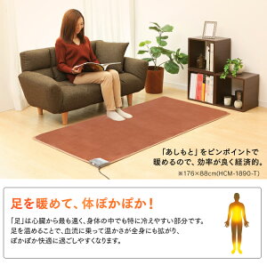 ホットマットHCM-40S-T40×40cmブラウンアイリスオーヤマ