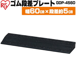 iv[g 5cm i 60cm S O Xg[g ACXI[}Siv[g iX[v iXebv iXebv 5cm X[v ԏ oCN ] XN[^[ Ԃ