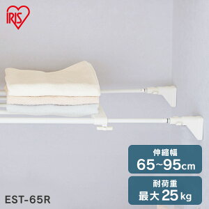 ˂I [ ʏ ˂_ bN ȃXy[X Eߏ  s23.5cm 65`95cm iΉ tȒP Hsv LkI zCg ACXI[} EST-65R [cpir]