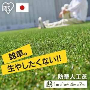[ő31OFF]hlH 30mm [ ACXI[} Y 1m×1m`4m×7m ŏ3cm lH l h Ő Gh~ lHŐ lHŃ}bg Ő}bg [^Cv Ő[ UByTDzy
