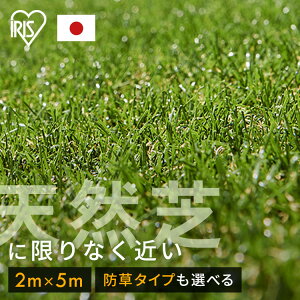 lH [ 2m×5m h ŏ30mm ACXI[} hlH  lHŐ Ő Ő}bg Ő }bg x_ 10 G΍ K[fjO |  ACX\[R[ Ah