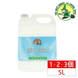 【選べる個数！】緑の魔女 ランドリー 5l 業務用 洗剤 バイオ ハイテク 洗濯 衣類用 洗濯洗剤 詰め替え 5L 5000mL 5KG 液体洗剤 洗濯用 大容量 排水管掃除 子供 環境 エコ洗剤 衣類 服 作業服ミマスクリーンケア ドイツ【D】