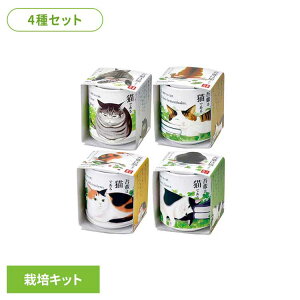 y4Zbgzł傱 yLi~gEo[EChXgx[EN[o[j ͔|Lbg ͔|Zbg ~g o[ ChXgx[ N[o[ V