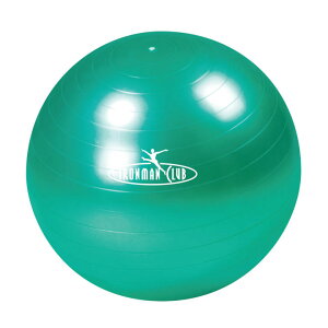 バランスボール 空気入れ その他フィットネス ダイエットの人気商品 通販 価格比較 価格 Com