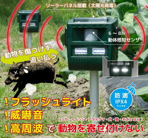 動物撃退器ソーラー充電ガーデニング農業園芸被害防止駆除猫よけ追い払うセンサー農家畑庭ガード花壇ソーラー害獣撃退器「撃退番長」ベルソス