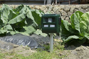 動物撃退器ソーラー充電ガーデニング農業園芸被害防止駆除猫よけ追い払うセンサー農家畑庭ガード花壇ソーラー害獣撃退器「撃退番長」ベルソス