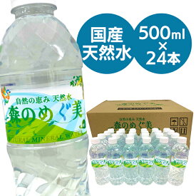 水 ミネラルウォーター 500ml 24本 セット 森のめぐ美 軟水 地下天然水 ナチュラルウォーター 非加熱 長良川 買い置き ストック まとめ買い ペットボトル ビクトリー 【代引き不可】