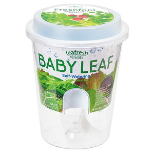 フレッシュフィール GD-81901 GD-81902 GD-81903 GD-81904 GD-81906栽培キット 栽培セット 水耕栽培 聖新陶芸 SEISHIN サラダ ミニ菜園 透明ポット ラディッシュ サラダホウレンソウ レタス ベビーリーフミ