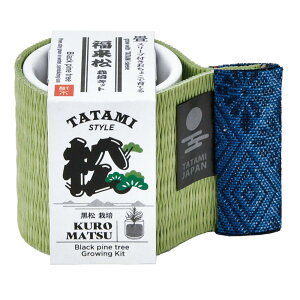 ł傱͔|Lbg ͔|Zbg V|  ̒ ܐFƂ炵