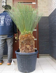 wł܂@ρIyiEz_VIEMV}@15@E