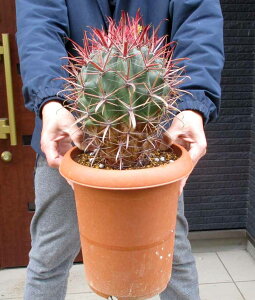 yiEzT{eEtFJN^X@ ق傭@JzMN@8@4