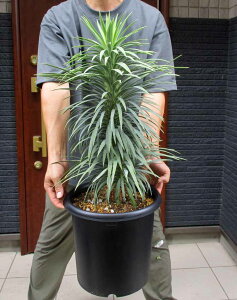 yiEzbJEfXeBA[i@9yϗtAzA8