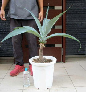 yiEzAKxEAei[^ {[`u[ 10@6