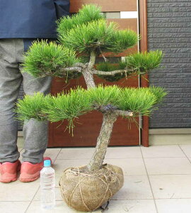 yiEzi܂jiN}cj@D2ԁ@^@OA@@y؁E뉀EaɂmɂEK[fz