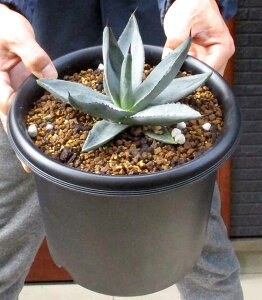 yiEzAKx@jO@hV[NXLh@7@CA