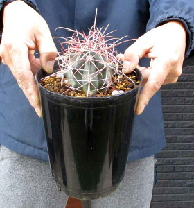 yiEzyiEzT{eEtFJN^XE͓iႿj5@PR