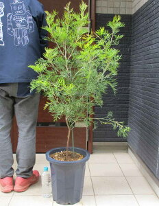 yiEz󏭕i@OrAEs[`AhN[@OrAEs[`AhN[@OBAEs[`YAhN[@OrAEs[`YAhN[@10