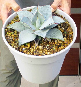 yzyiEz AKxEsO}GAEhSgD[X@8@S67