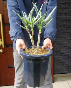 NEWIyiEzy^zAG@VV}(VbV}@bVV)8@A8