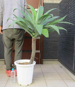 yizAKxEAei[^@10@G22ԁ@^@ϗtA@AKx@CeAO[@X