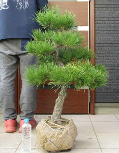 yiEzi܂jiN}cj@S4ԁ@^@OA@@y؁E뉀EaɂmɂEK[fz