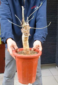 yiEzρ@oIou̖؁@oIouEfBM^[^@7@E58