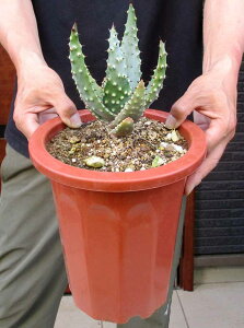 yiEzy^zAGE NEWAi@7@TK