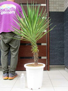 yiEzbJEACtHAEIIbJEACtHAEoGK^@10@4J