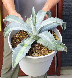 yiEzAKxEAJ[iEGNXpTEfBIsN^Ep[_@ip_j8@4Z