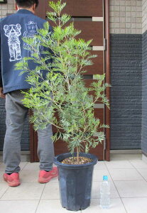 ^ɂēwł܂yiEzOrAERRibcACX@OrAERRibcACX@10@3E