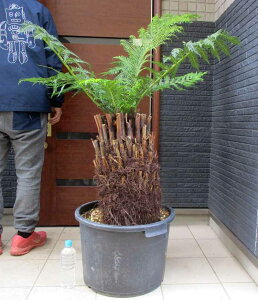 yiEz劔@fBN\jA@A^eBJ@17@iϗtAEAE؁jA5