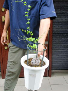 yiEz򍪐A@AtJTb@5iLbREEjG9