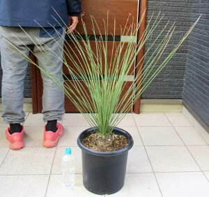 ybNK[f@hCK[fzyiEzSρ@_VIEMV}@9@N2