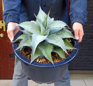 yiEzAKxEIoeBzAEoW[@12@HTԁiIoeBtHAj