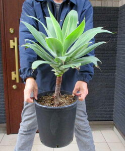 yizAKxEAei[^@9@F8ԁ@^@ϗtA@AKx@CeAO[@X