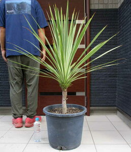 ϊx}CiX3xyiEzhZiERWlEg[xC_Y[Ei_Y_[@_Y[j13@2MԁihZiERWlj@aFjICV@H2