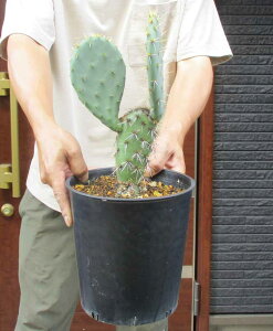 yzyiEz@hIv`A@Iv`A@ۖ~iE`T{ejiII}{j7@P4ԁ@bNK[f@hCK[f