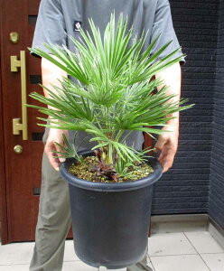 yiEzyϊV@qz`vXEt~X@劔@10@W7