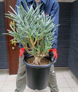 yiEzyzAG@VV}(VbV}@bVV)AGEVV}@VbV}iʖFсj 9@E08