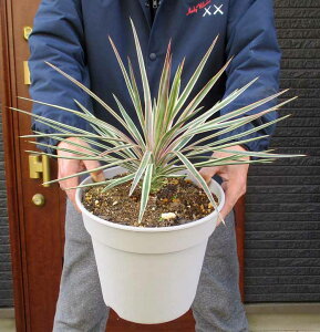 yiEzbJEACtHAEIIbJEACtHAEoGK^@nInAł܂I@@8@R4