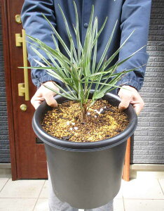 yiEzyϊV@qz`vXEt~XEZtF/Vo[[t@@9@I7