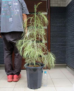 yiEzOrA@nj[_[@10@4Zԁ@i؁EV{c[EA؁EEϗtAE^EIW[AEI[XgA뉀j